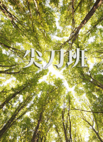 电影以一栋房子为“时间容器”，从史前横跨到现代，见证不同时代家庭在这间房屋客厅里经历的悲欢故事。